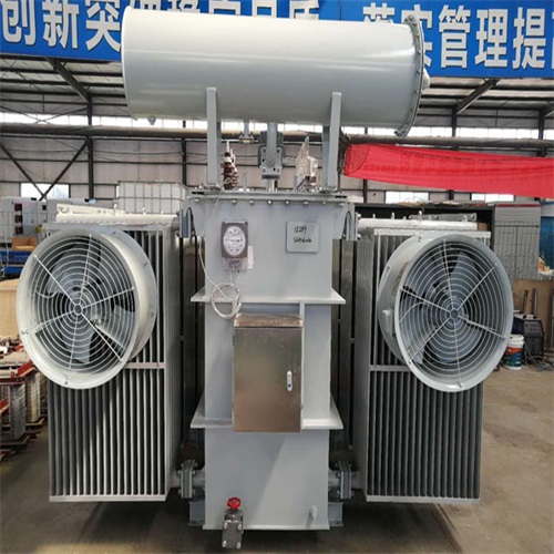 青阳S20-8000KVA变压器